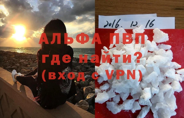 амф Новокубанск