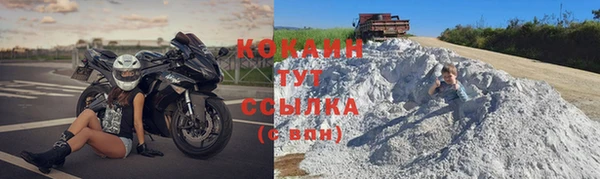 прущая мука Новодвинск