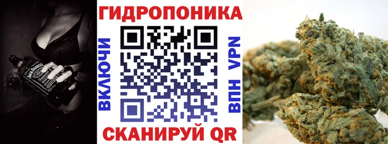 mega сайт  купить наркотик  Пучеж  Бошки марихуана сатива 